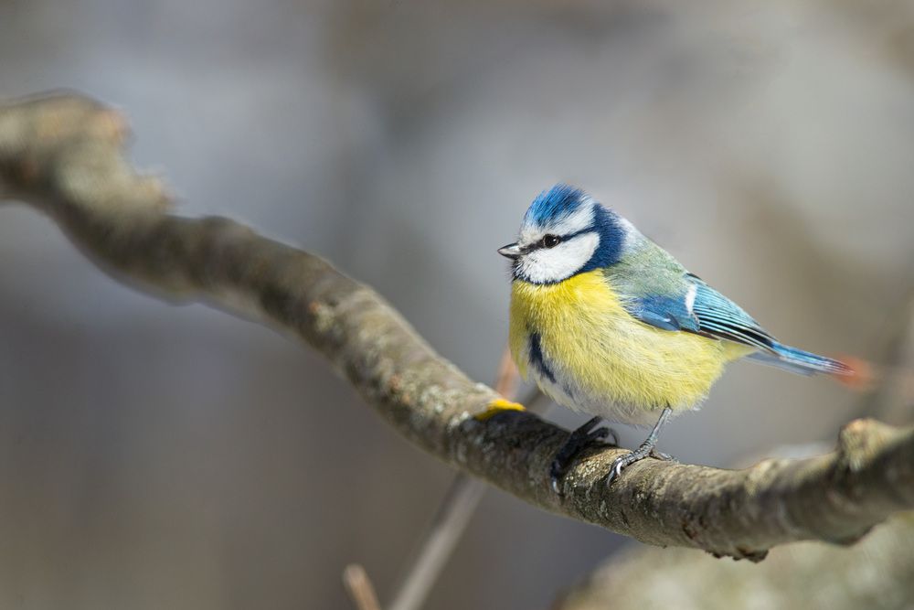 Photograph by Мамсур