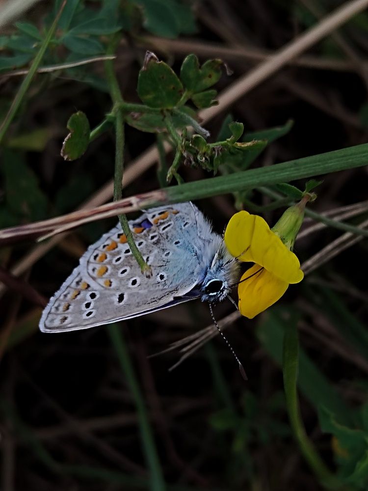 Photograph by Ирина