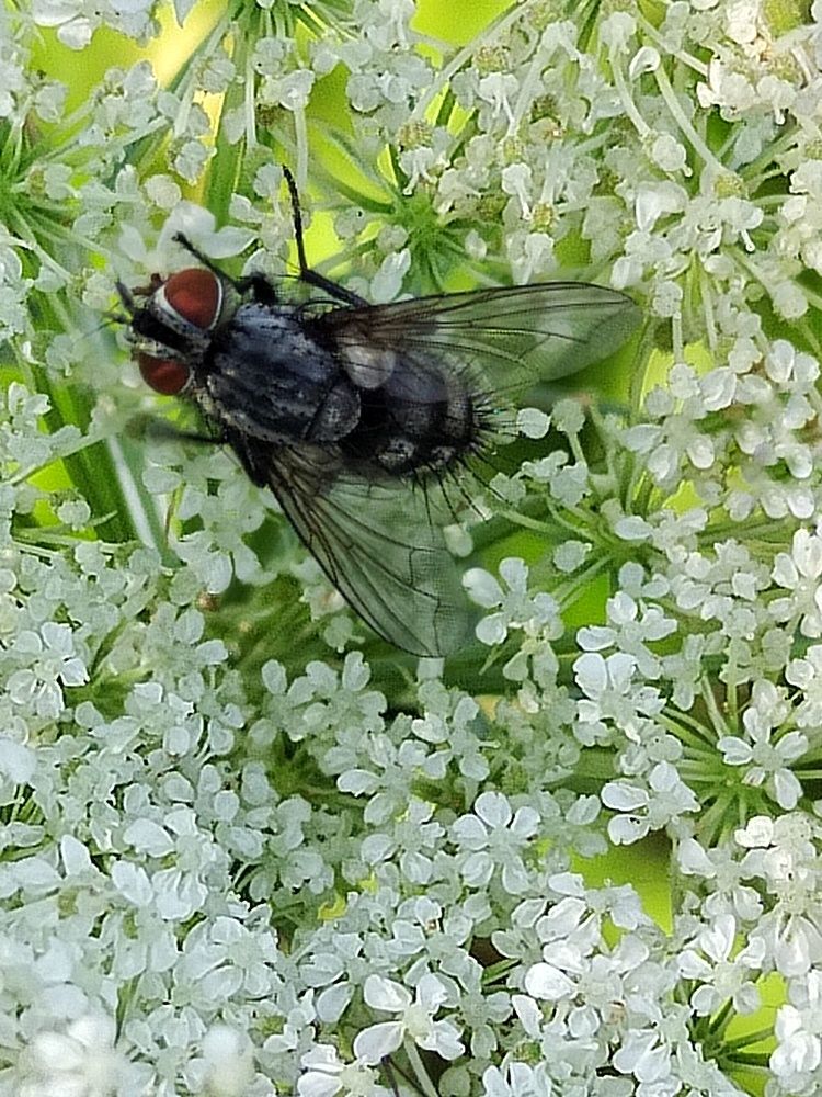 Photograph by Ирина