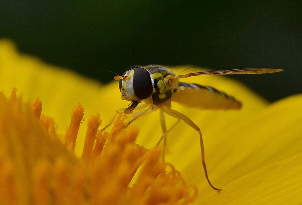 Photograph by Светлана Дисяк