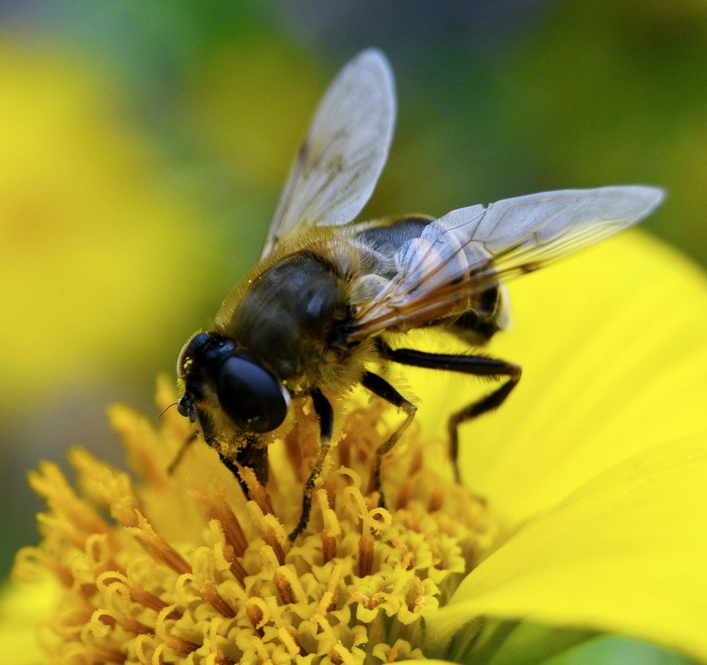 Photograph by Светлана Дисяк