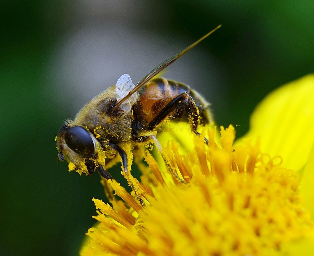 Photograph by Светлана Дисяк