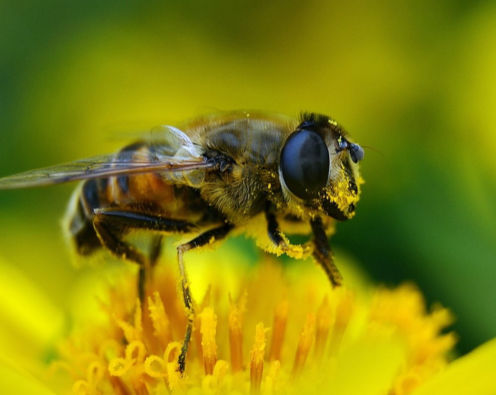 Photograph by Светлана Дисяк