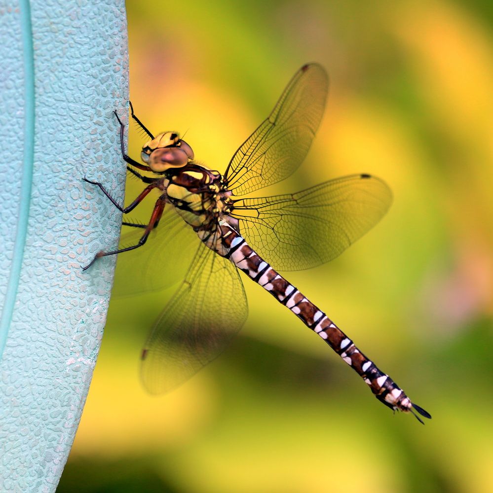 Photograph by Vladislav Kaplun
