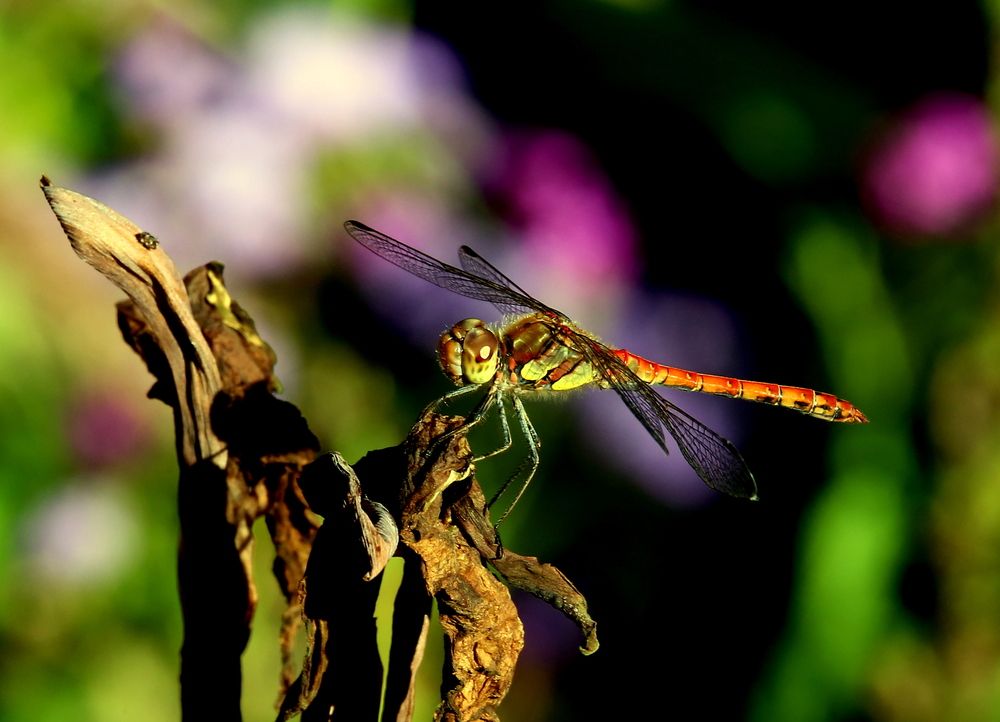 Photograph by Vladislav Kaplun