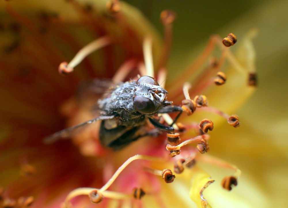 Photograph by Vladislav Kaplun