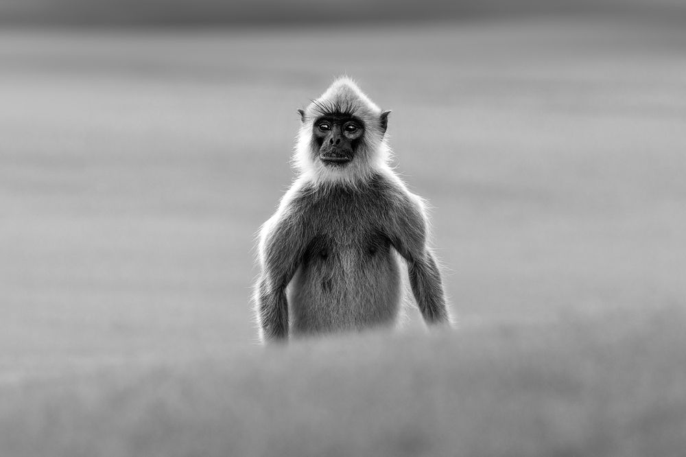 Photograph by Валерия Трейтяк