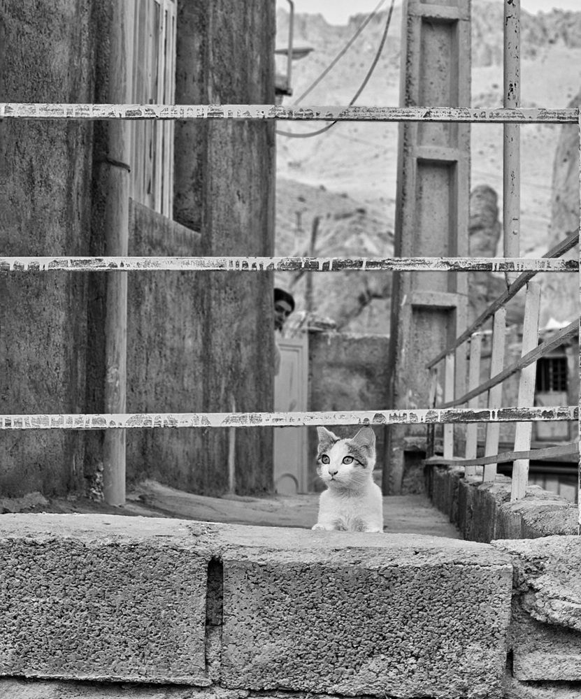 Фотография автора Samane Naji