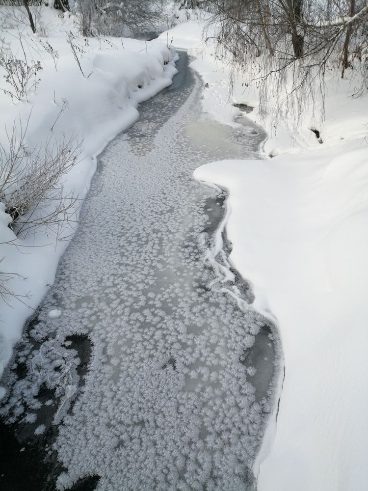 Photograph by Кузьмичева Екатерина Васильевна
