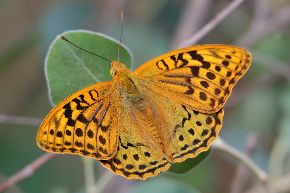 Photograph by Антон Громов