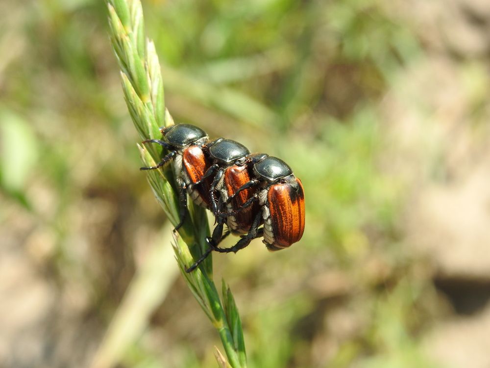 Photograph by Олеся Дейнеко