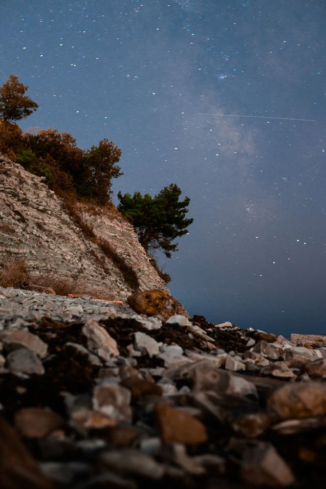 Photograph by Дарья Полиева