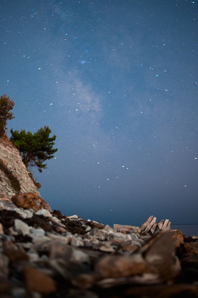 Photograph by Дарья Полиева