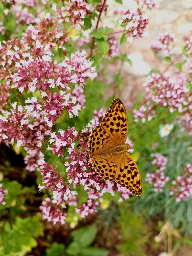 Photograph by Татьяна Яцкевич