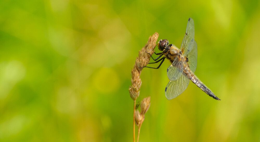 Фотография автора Aлексей Игнатьев