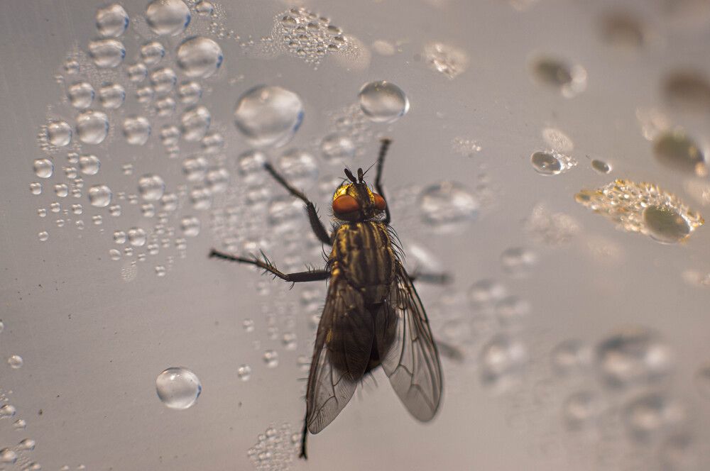 Фотография автора Aлексей Игнатьев