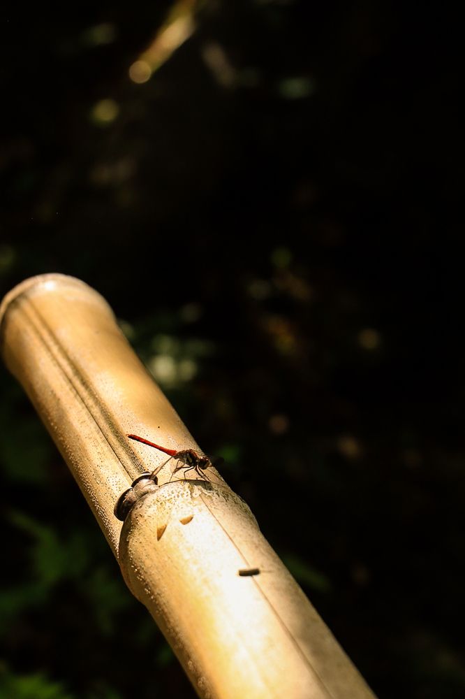 Photograph by Валерия Лунина