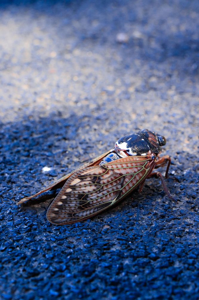 Photograph by Валерия Лунина