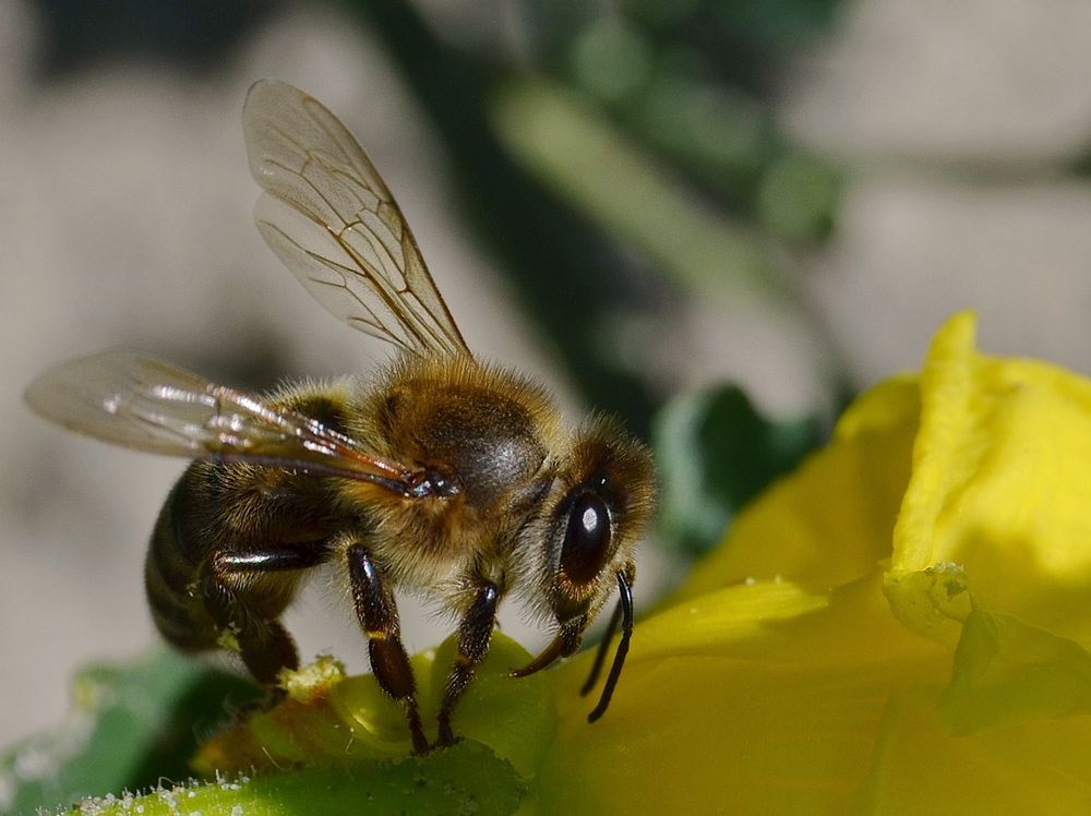 Photograph by Светлана Дисяк