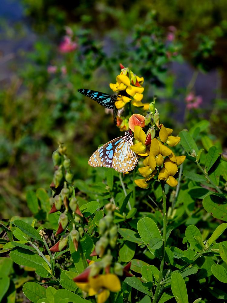 Фотография автора Ольга Шишук
