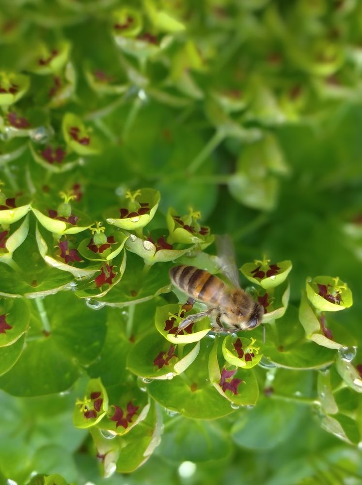 Photograph by Елена Глуховкина