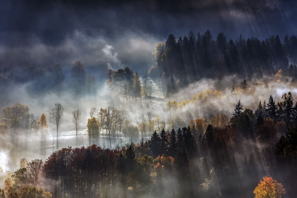 Фотография автора Grzegorz Truchanowicz