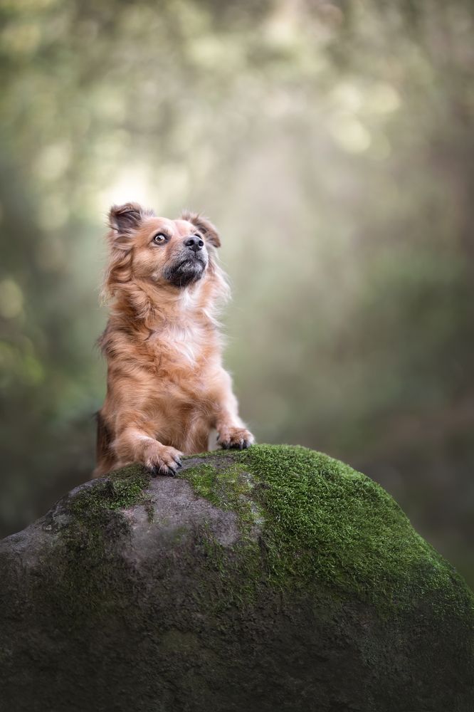 Photograph by Leticia Hernandez