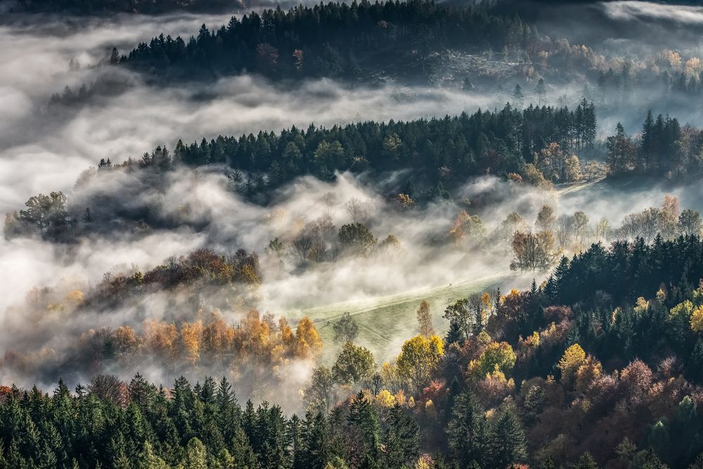 The magic of an autumn morning.