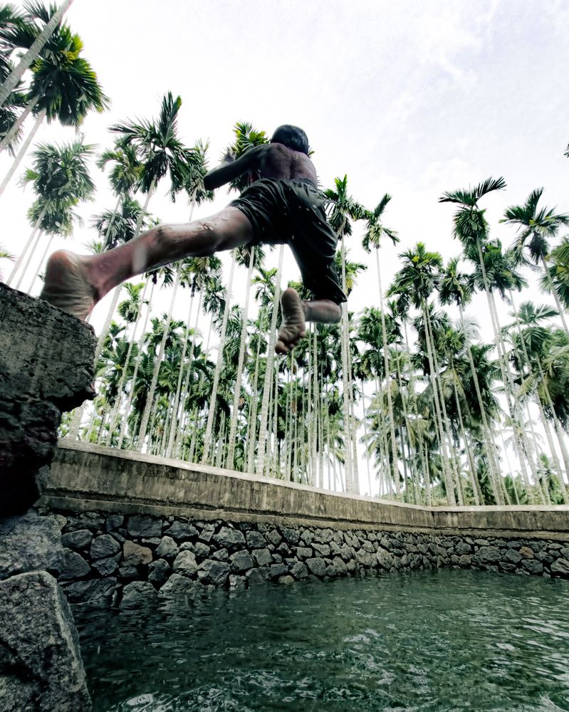 His Flight