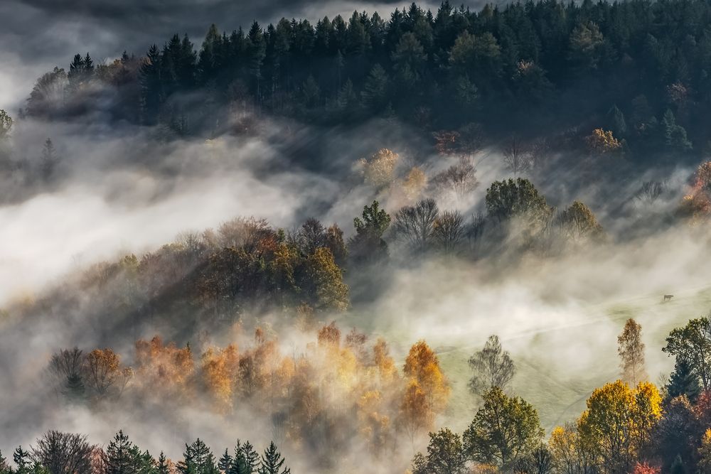 Magical Autumn
