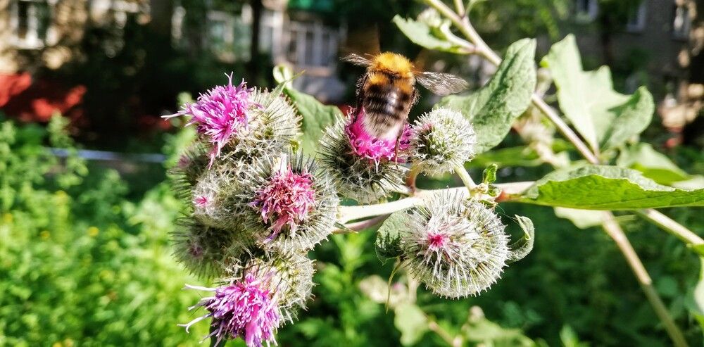 Photograph by Лариса Неудачина