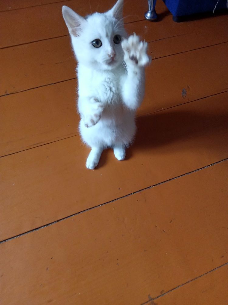 Photograph by Ольга Сергеева