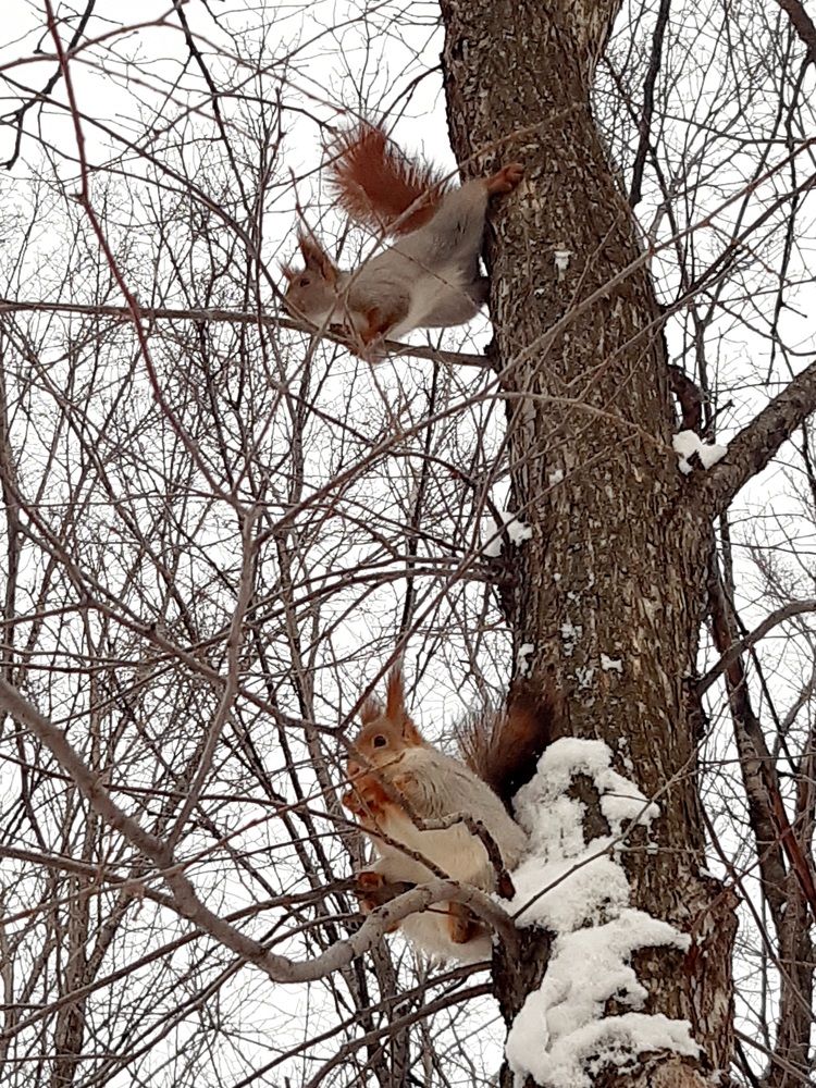 Photograph by Наталья Шендяпина