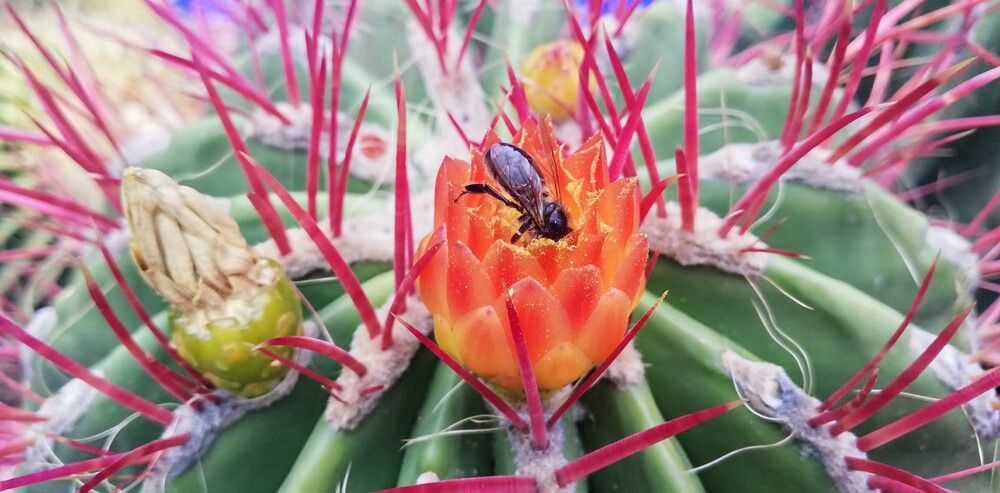 Photograph by Лариса Неудачина