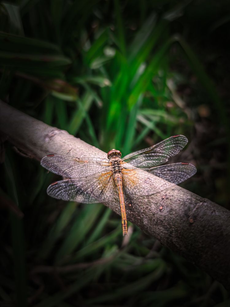 Фотография автора Александр Хухлов