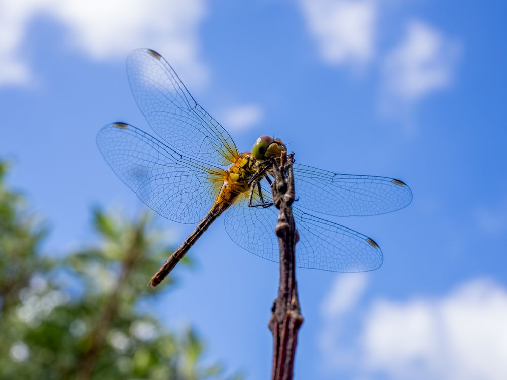 Photograph by Михаил Кинеев