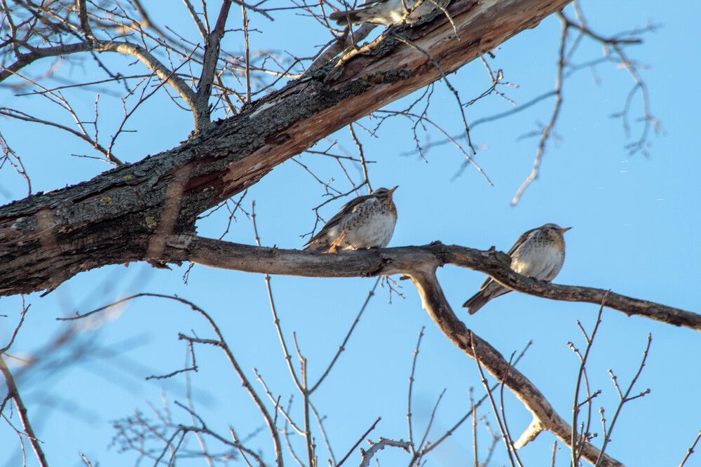 Photograph by Мари Полищук