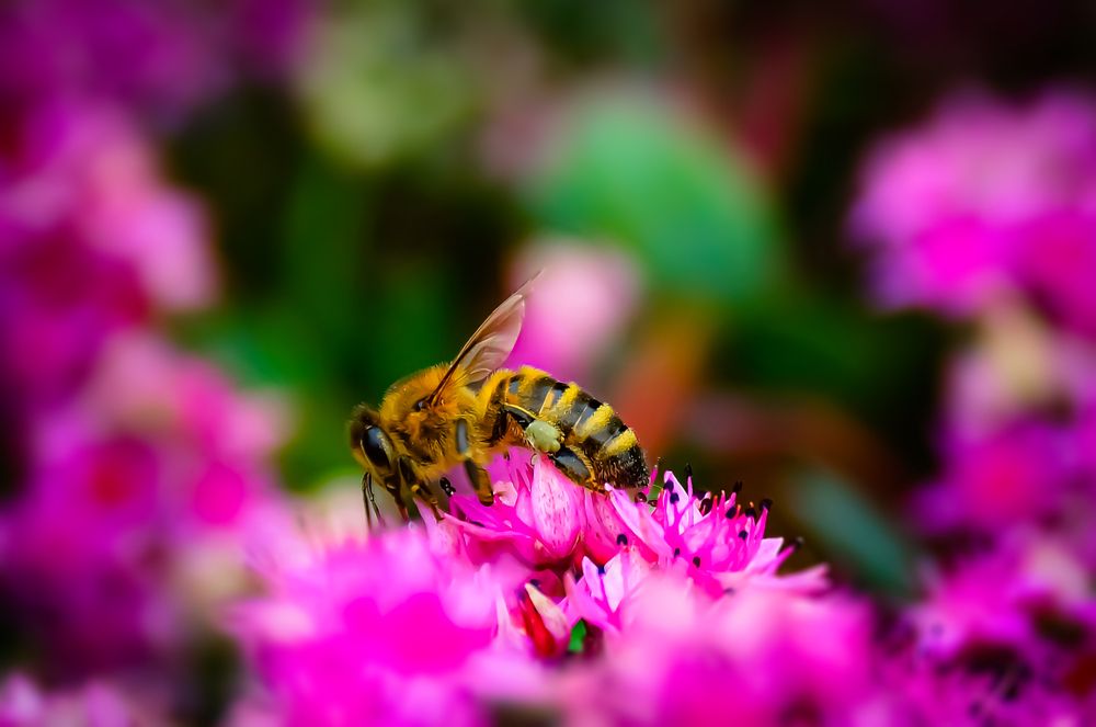 Photograph by Алексей Мякота