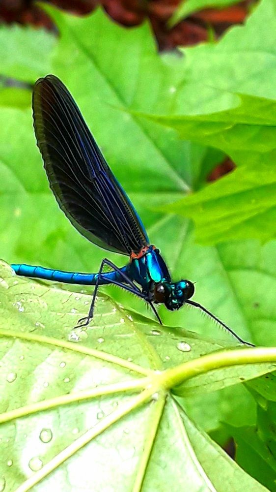 Photograph by Татьяна Солтан