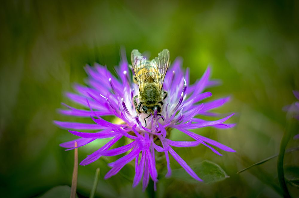 Photograph by Алексей Мякота