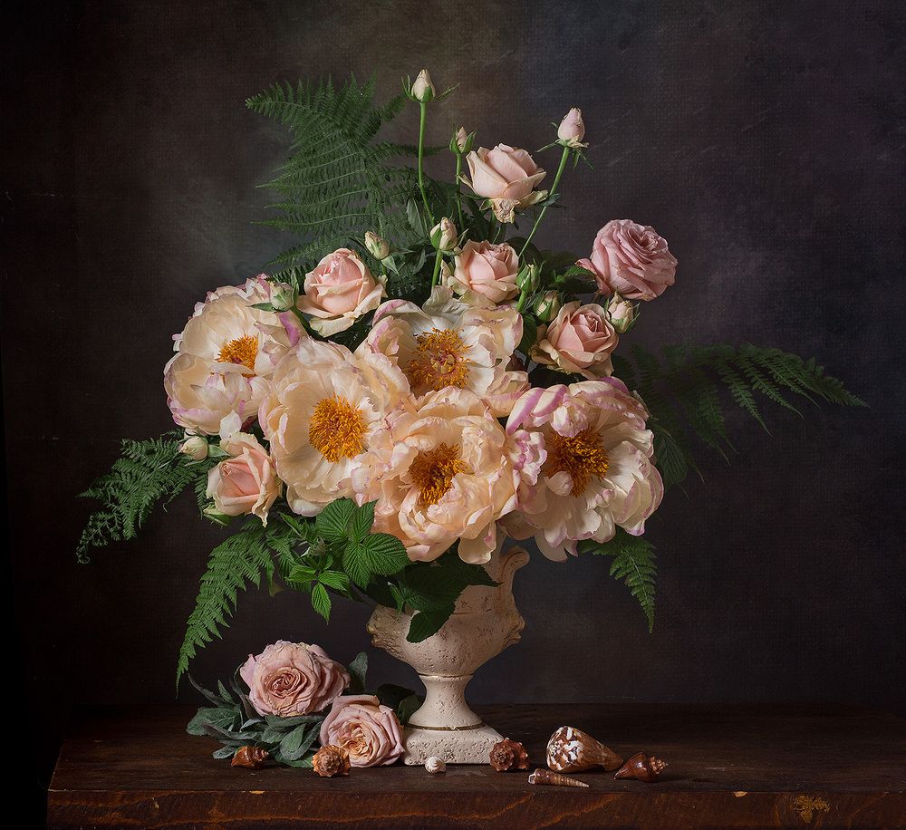 Фотография автора Алина Ланкина