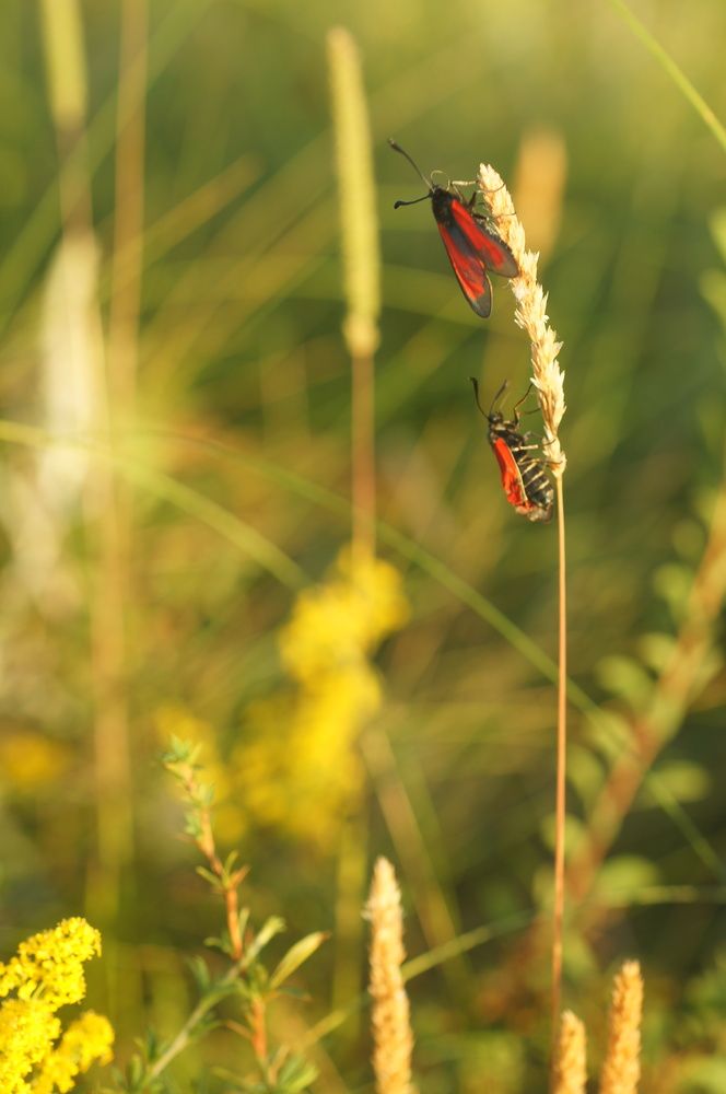Photograph by Ольга Новикова