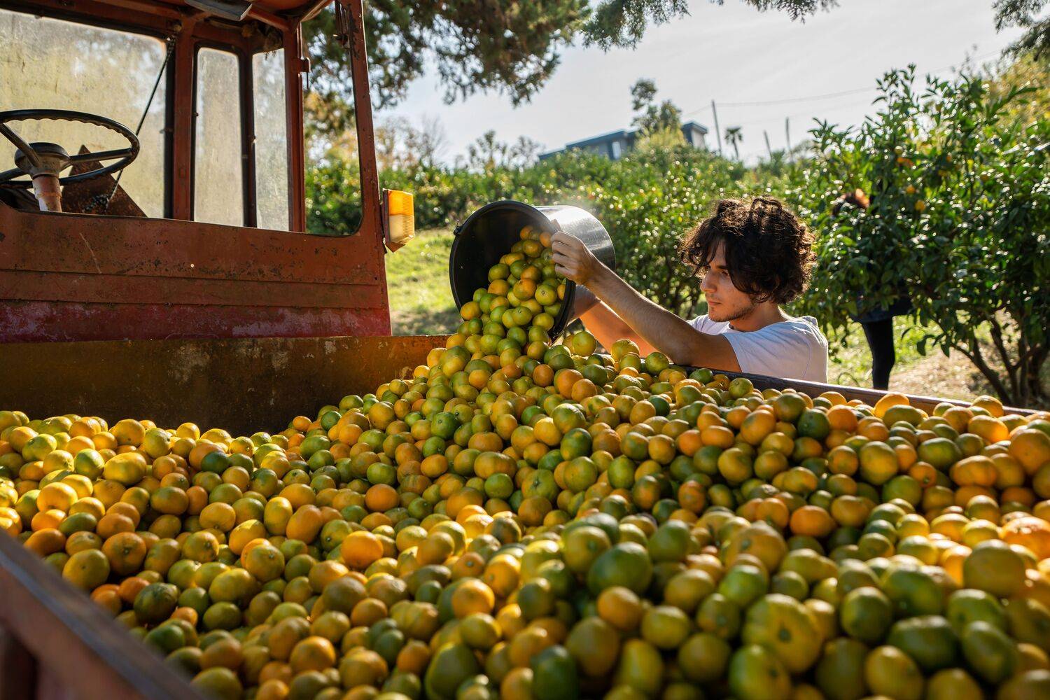 Научный урожай Научный урожай