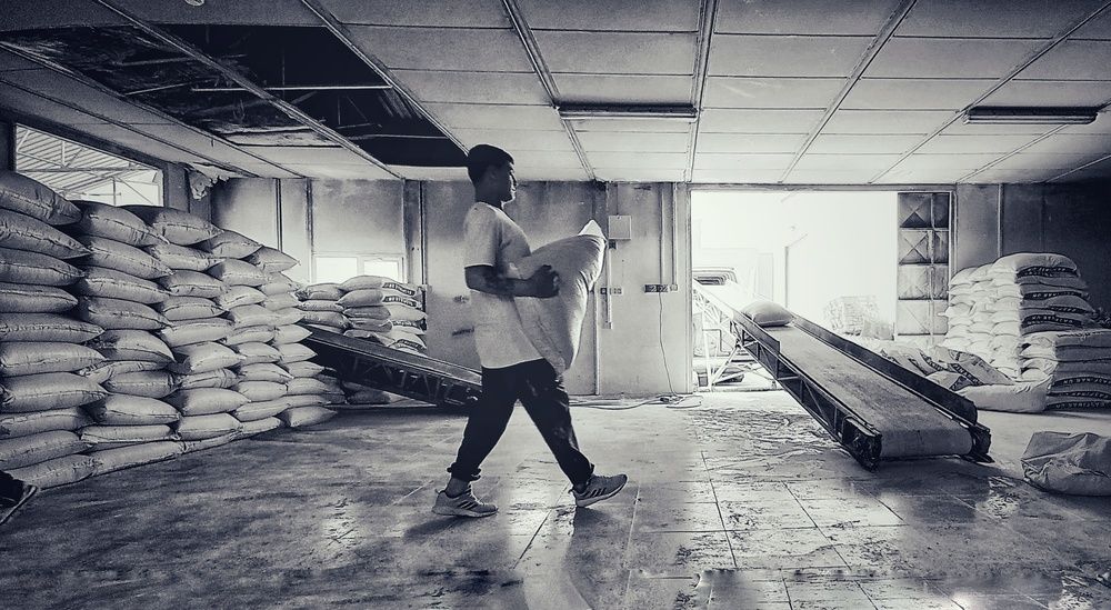 Photo #12046604