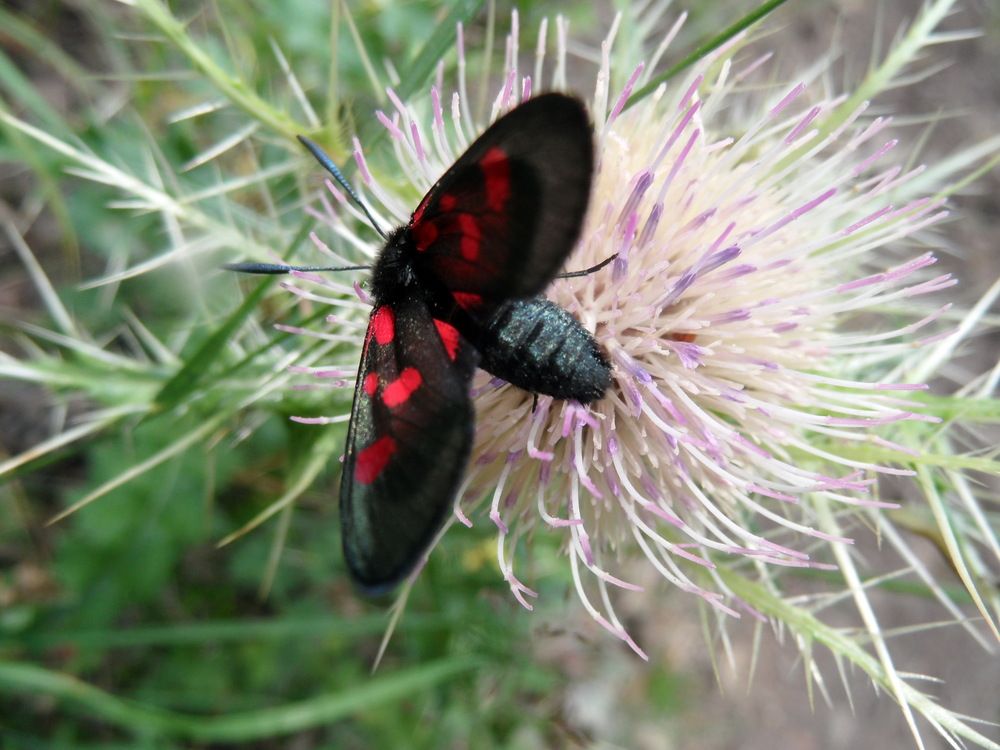 Photograph by Саркаров Юсиф