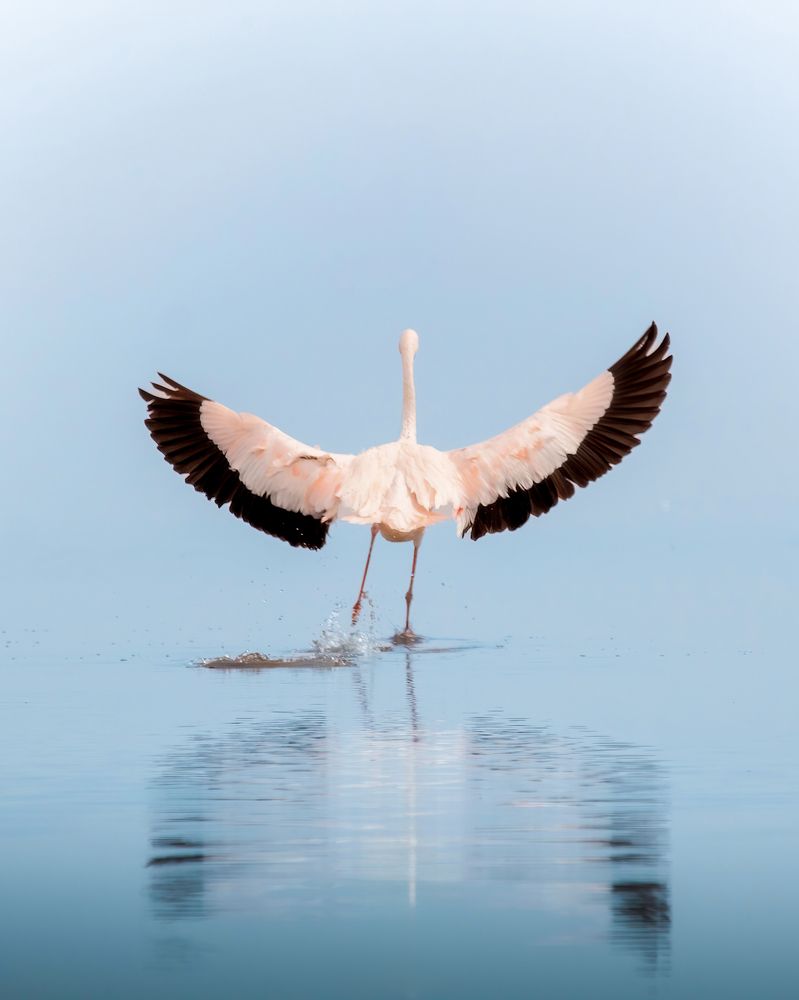 Photograph by Kevin Rauld