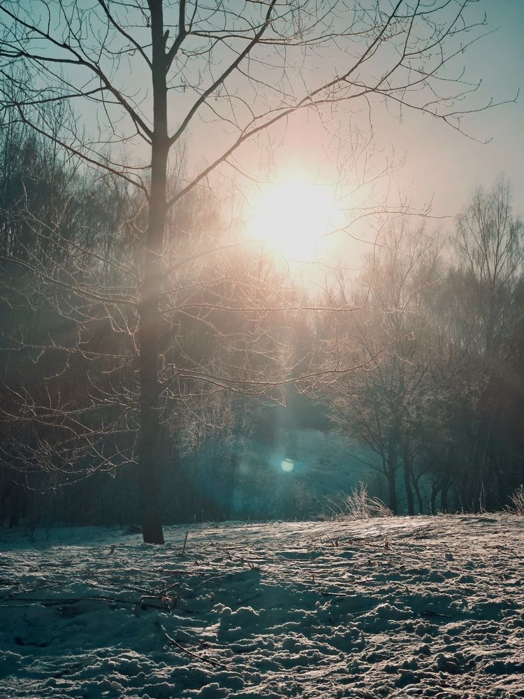 Photograph by Vol-de-M