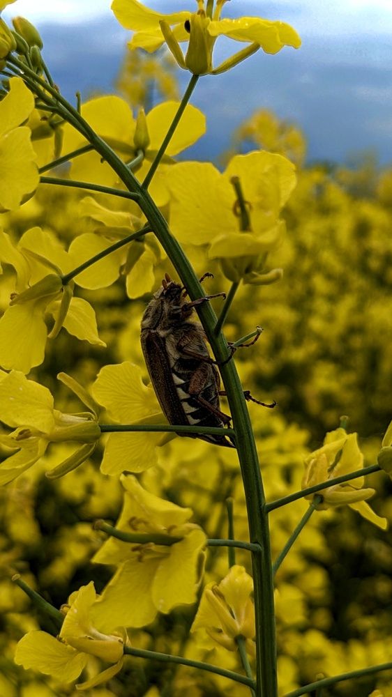Photograph by Ольга и Андрей Трухан