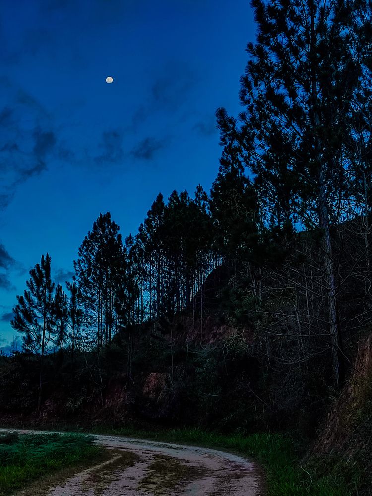 Photograph by nileydi Colmenarez