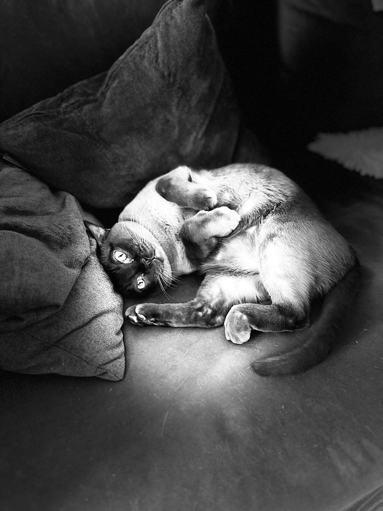 Photograph by Юлия Давшан